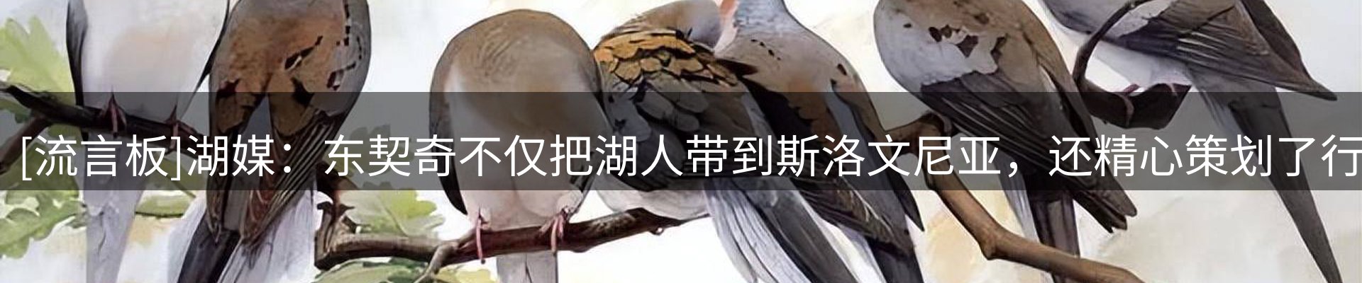 新闻趋势